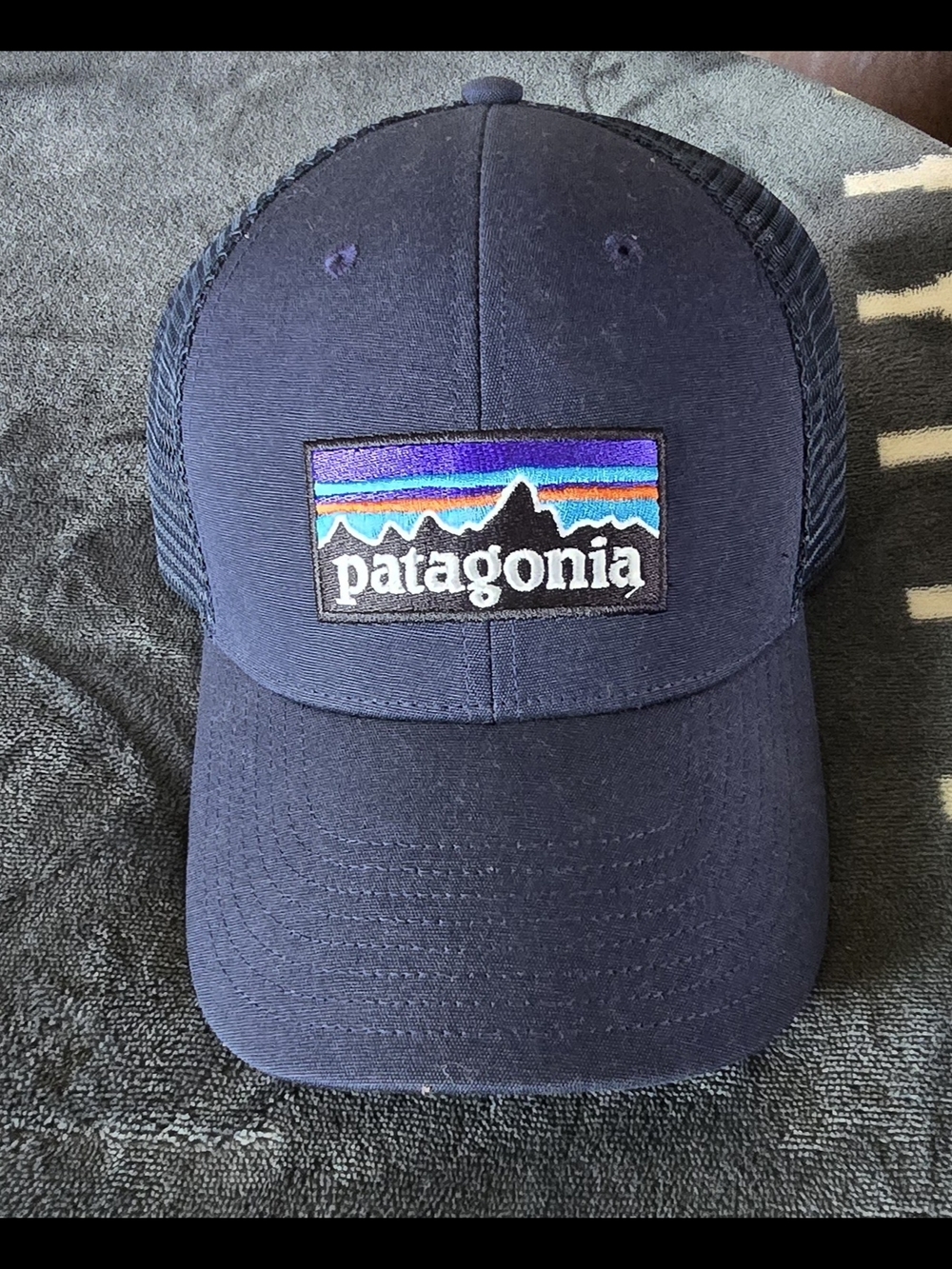 Patagonia Navy Trucker Hat with Multicolor Logo